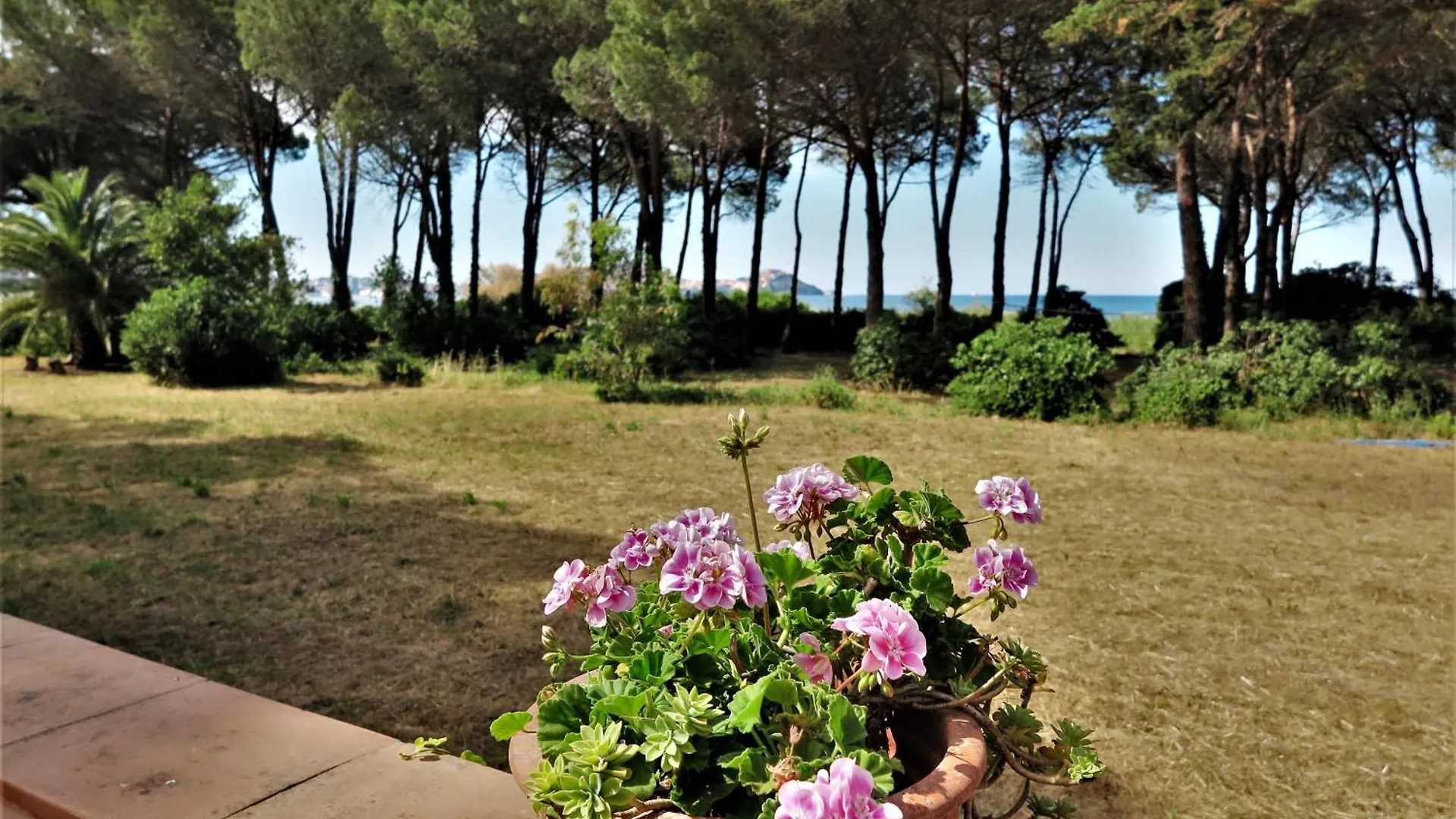 Сasa de vacaciones Villa Eucalipti Immersa Nel Verde E Sul Mare Magazzini